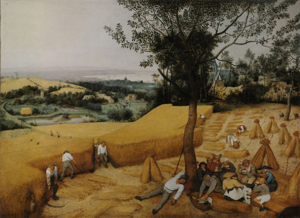 Pieter Bruegel the Elder- The Harvesters.jpg