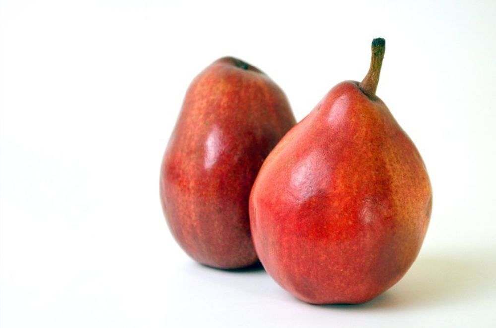 red_pears_hires.JPG